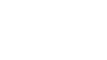 VorteX